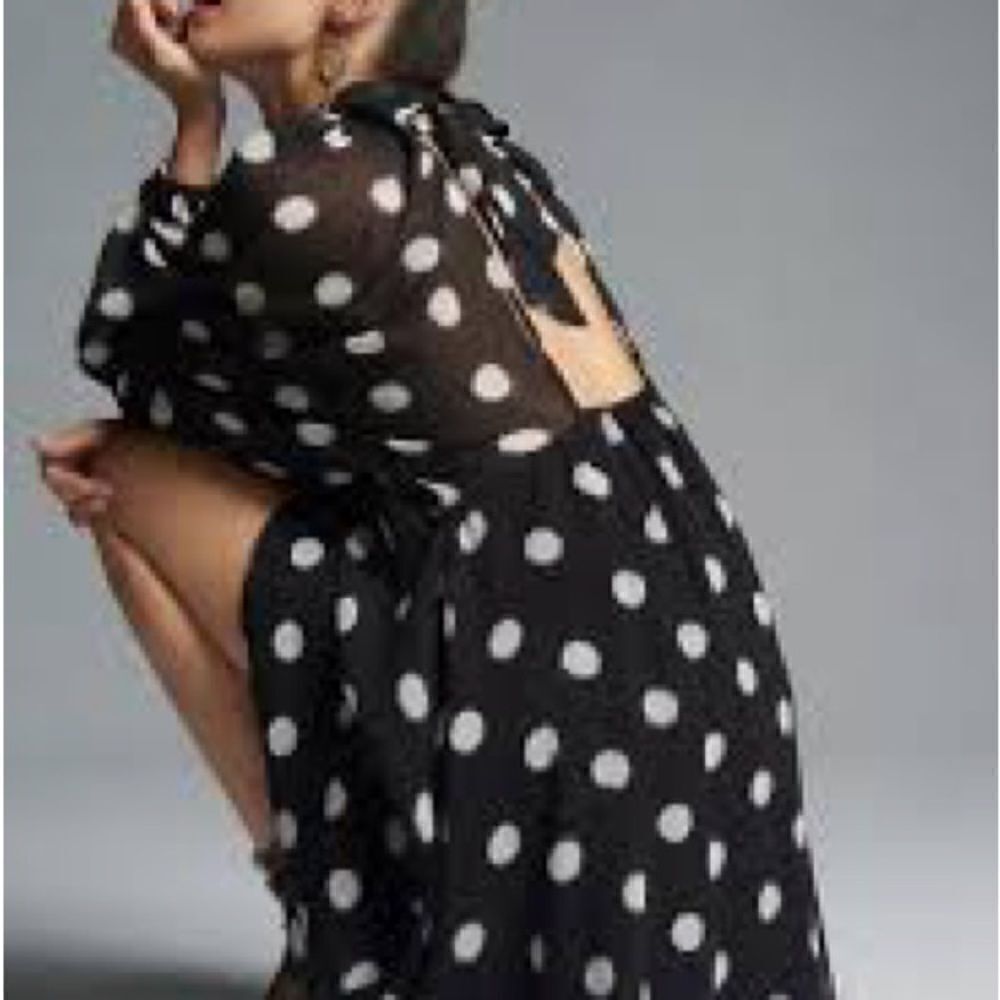 Anthropologie Maeve Long-Sleeve Sheer Black & White Polka Dot Mini Dress, NWT
